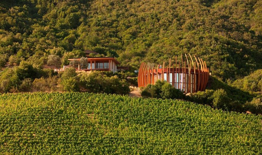 Chile -Valle Colchagua vinos FD